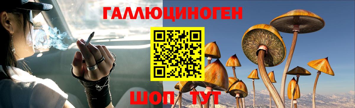 Псилоцибиновые грибы Cubensis  Вход с VPN  Галлюциногенные грибы MAGIC MUSHROOMS  Кызыл 